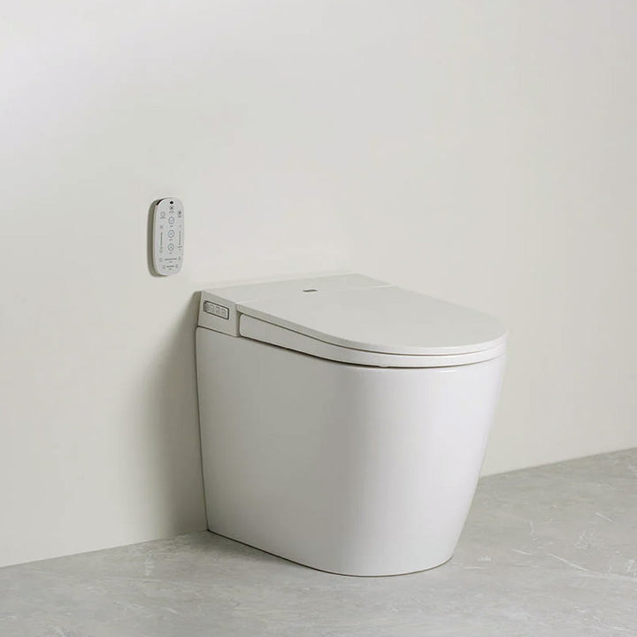 Argent Evo Smart Toilet In-wall Floor Mount Pan